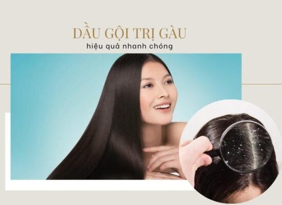 1689327707524 review 5 dau goi tri gau e1749027460574