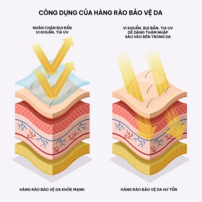 CONG DUNG CUA HANG RAO BAO VE DA 1024x1024.jpg