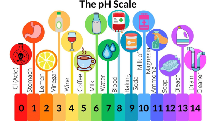 do p h trong co the nguoi bi quyet can bang do p h tu ben trong 4 b487e25006