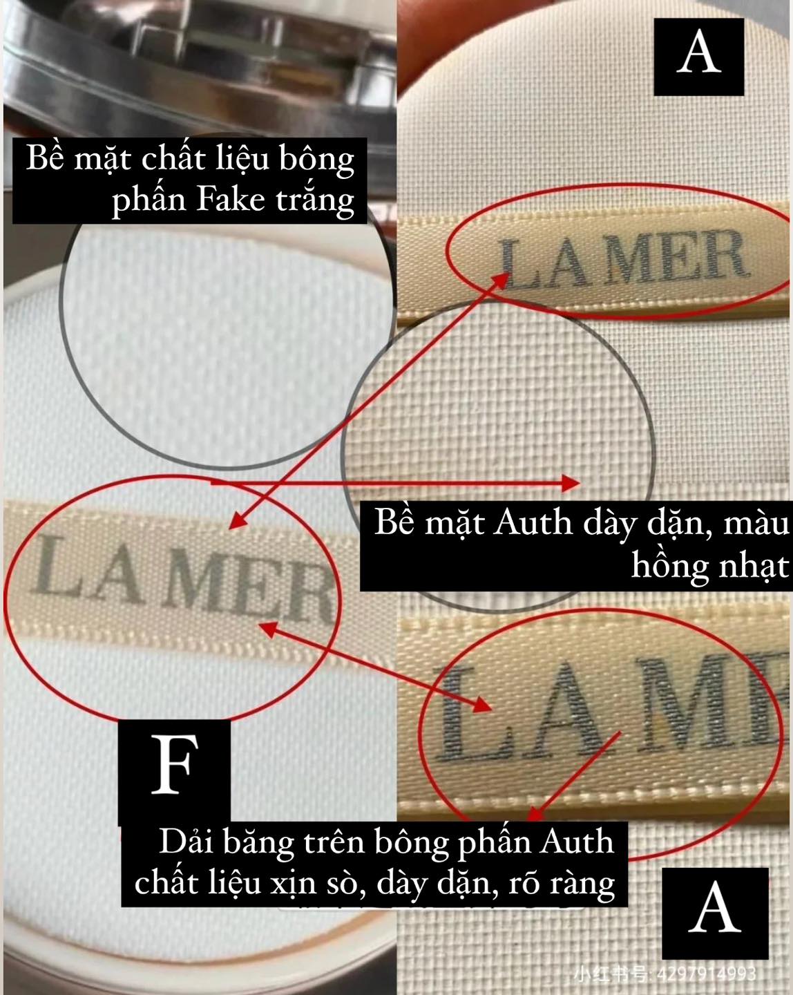 484381700 635754559214350 1336026038019945125 n 1