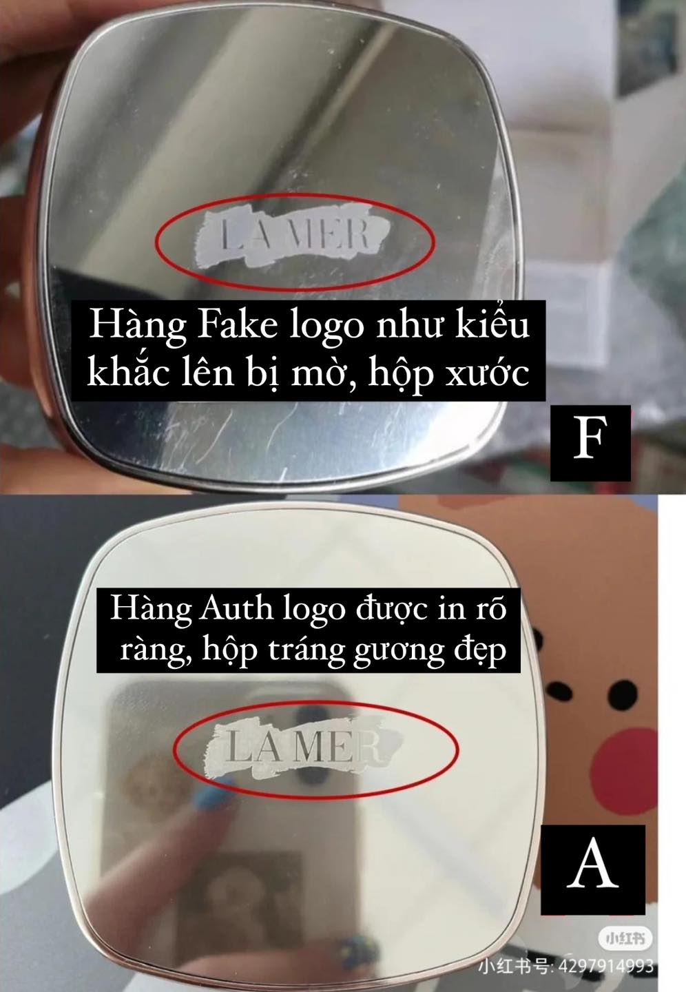 484869908 635755042547635 1369168701994400359 n 1