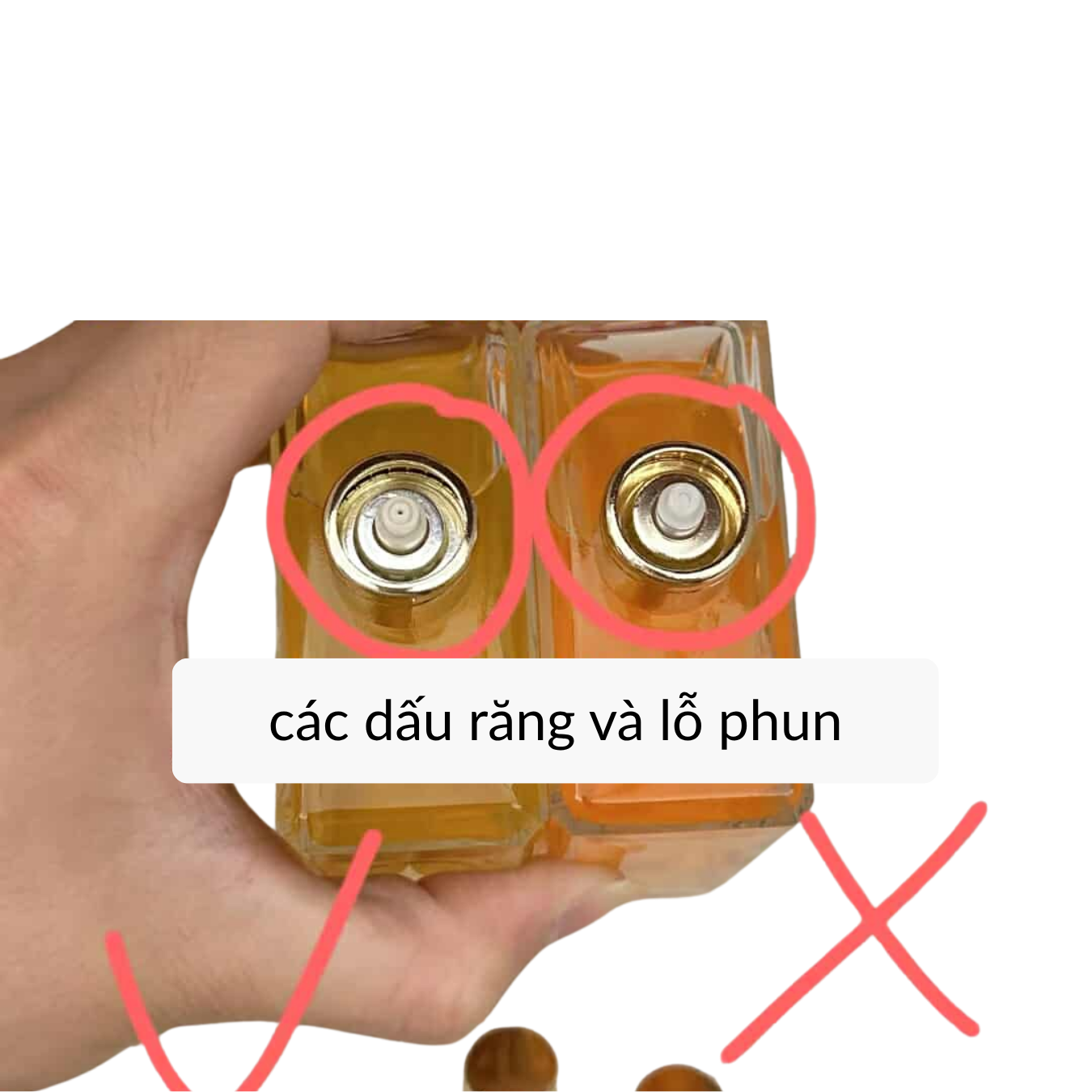 Auth 41