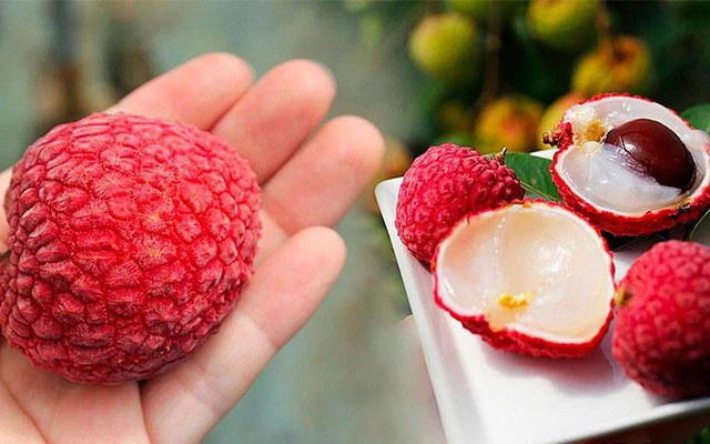 avatar1687278961888 1687278962219356196170