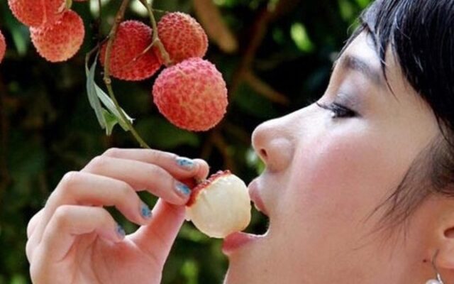 vaithieu 08254405 20230616072306